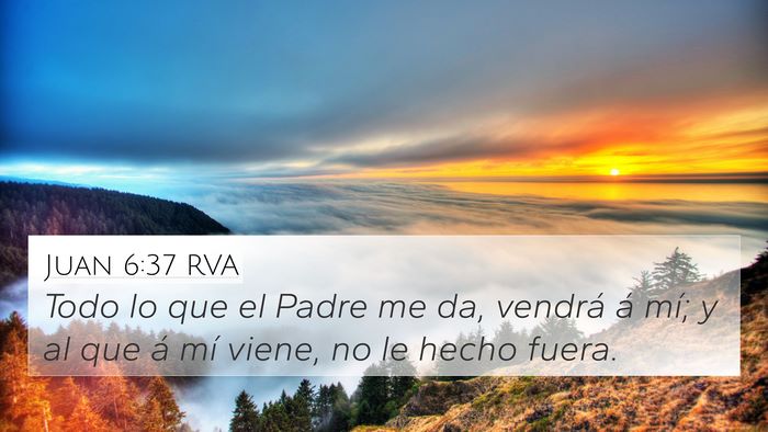 Juan 6:37 RVA Bible Verse Image