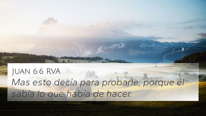 Juan 6:6 RVA Bible Verse Image