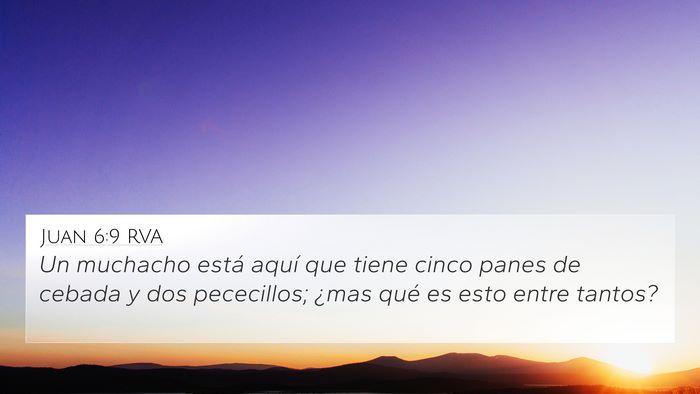 Juan 6:9 RVA Bible Verse Image