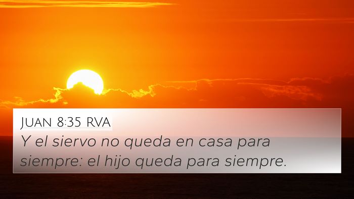 Juan 8:35 RVA Bible Verse Image