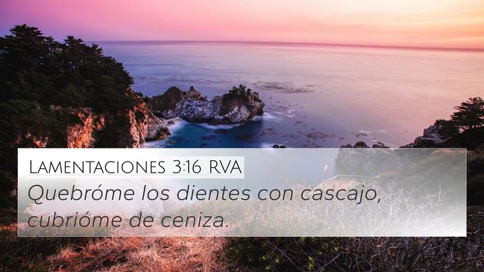 Lamentaciones 3:16 RVA 4K Wallpaper - Quebróme los dientes con cascajo, cubrióme de - 4K Wallpaper Bible Verse
