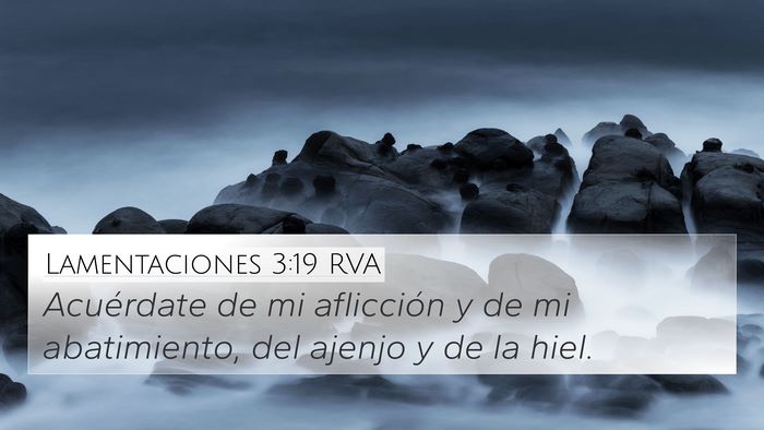 Lamentaciones 3:19 RVA Bible Verse Image