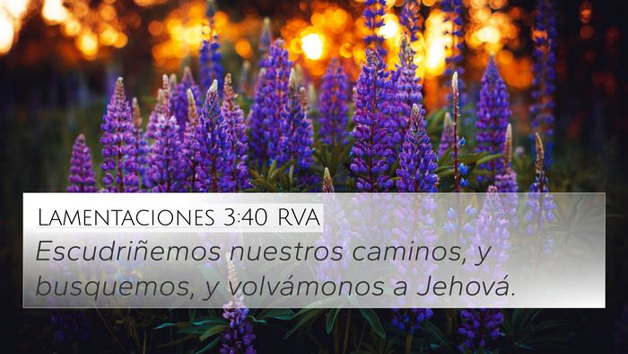 Lamentaciones 3:40 RVA Bible Verse Image