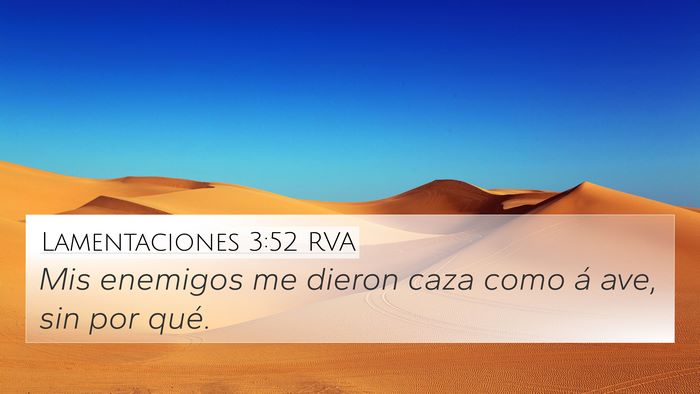 Lamentaciones 3:52 RVA Bible Verse Image