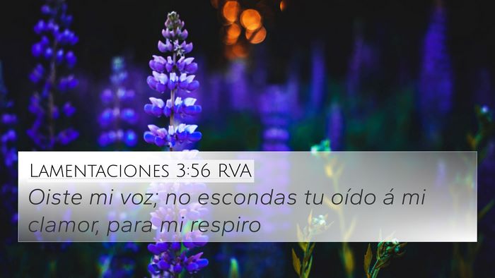 Lamentaciones 3:56 RVA 4K Wallpaper - Oiste mi voz; no escondas tu oído á mi clamor, - 4K Wallpaper Bible Verse