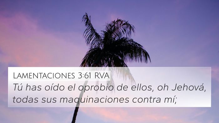 Lamentaciones 3:61 RVA Bible Verse Image