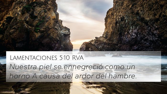 Lamentaciones 5:10 RVA Bible Verse Image