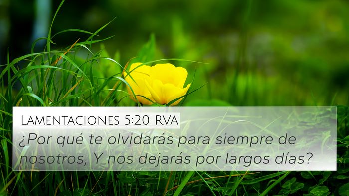 Lamentaciones 5:20 RVA Bible Verse Image