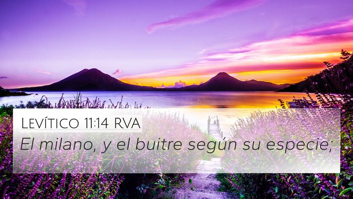 Levítico 11:14 RVA 4K Wallpaper - El milano, y el buitre según su - 4K Wallpaper Bible Verse