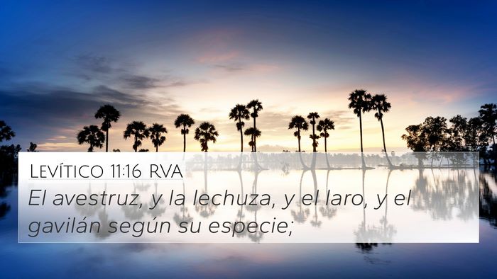 Levítico 11:16 RVA 4K Wallpaper - El avestruz, y la lechuza, y el laro, y el - 4K Wallpaper Bible Verse