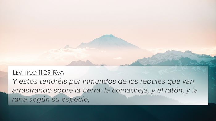 Levítico 11:29 RVA Bible Verse Image