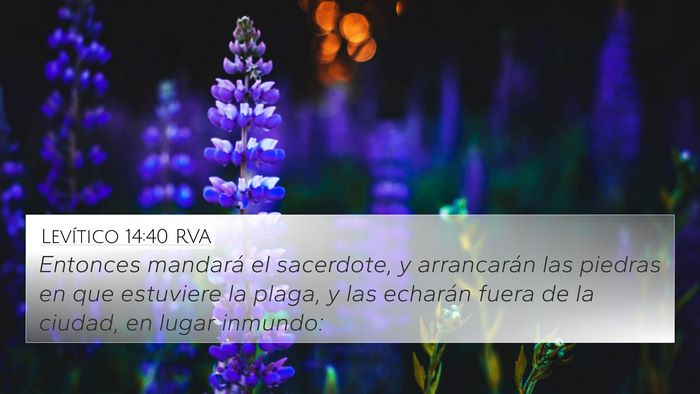 Levítico 14:40 RVA Bible Verse Image