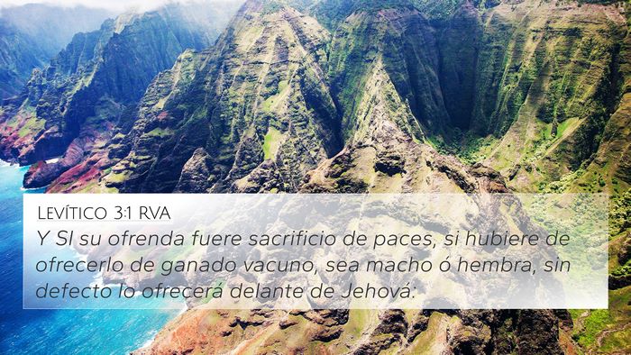 Levítico 3:1 RVA 4K Wallpaper - Y SI su ofrenda fuere sacrificio de paces, si - 4K Wallpaper Bible Verse
