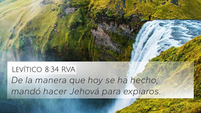 Levítico 8:34 RVA Bible Verse Image