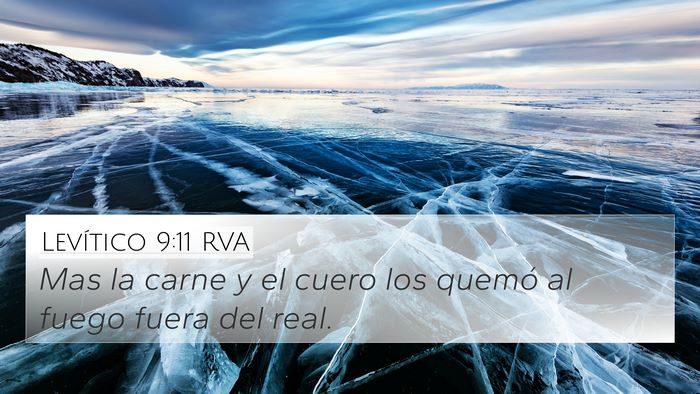 Levítico 9:11 RVA 4K Wallpaper - Mas la carne y el cuero los quemó al fuego fuera - 4K Wallpaper Bible Verse