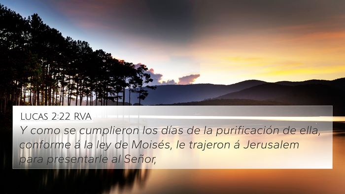 Lucas 2:22 RVA Bible Verse Image