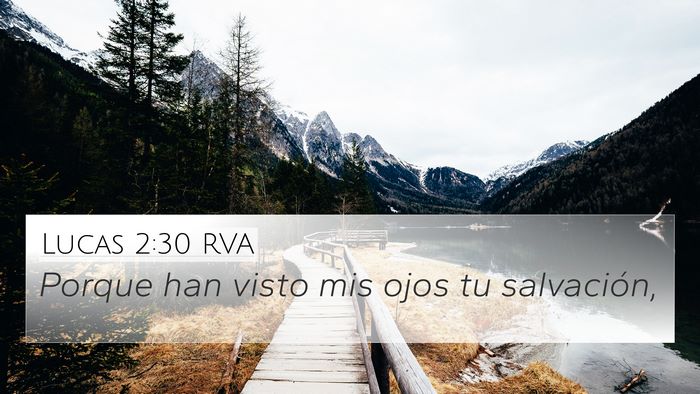 Lucas 2:30 RVA Bible Verse Image