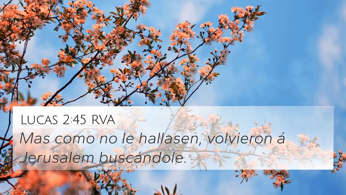 Lucas 2:45 RVA 4K Wallpaper - Mas como no le hallasen, volvieron á Jerusalem - 4K Wallpaper Bible Verse