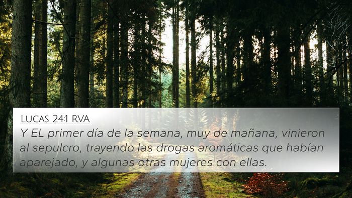 Lucas 24:1 RVA Bible Verse Image