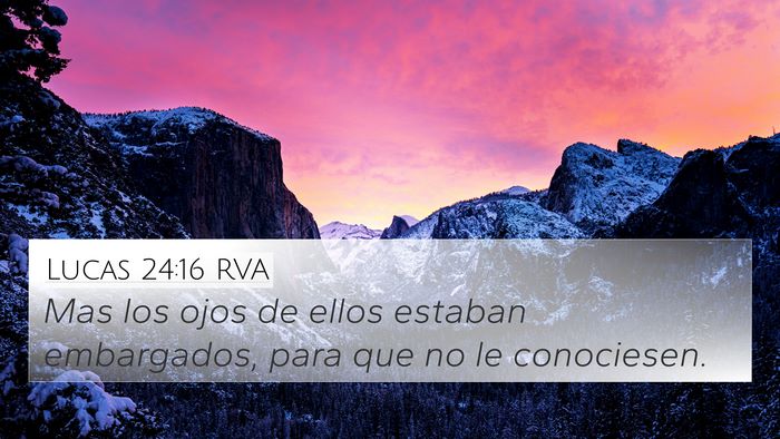 Lucas 24:16 RVA 4K Wallpaper - Mas los ojos de ellos estaban embargados, para - 4K Wallpaper Bible Verse