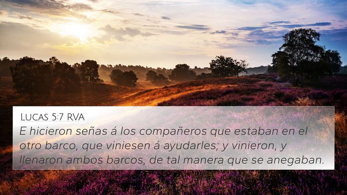 Lucas 5:7 RVA Bible Verse Image