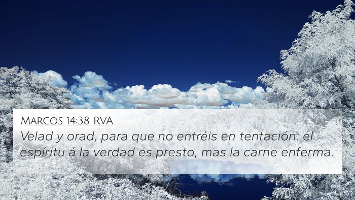 Marcos 14:38 RVA Bible Verse Image