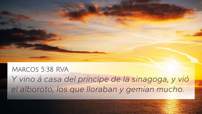 Marcos 5:38 RVA Bible Verse Image