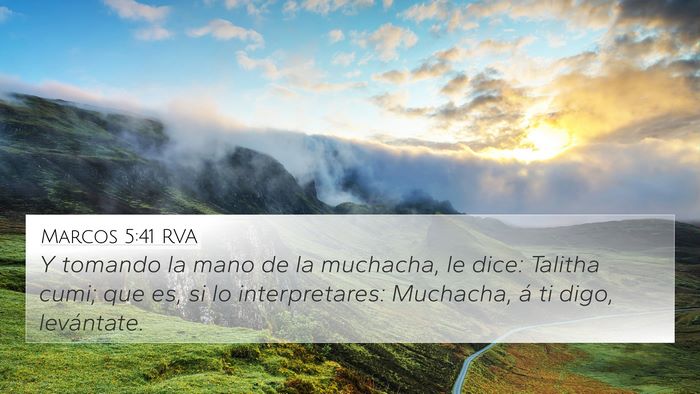 Marcos 5:41 RVA Bible Verse Image