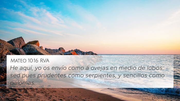 Mateo 10:16 RVA Bible Verse Image