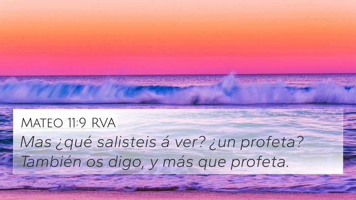 Mateo 11:9 RVA Bible Verse Image