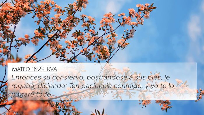 Mateo 18:29 RVA Bible Verse Image