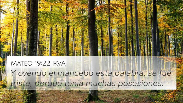 Mateo 19:22 RVA Bible Verse Image