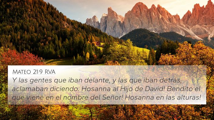 Mateo 21:9 RVA Bible Verse Image