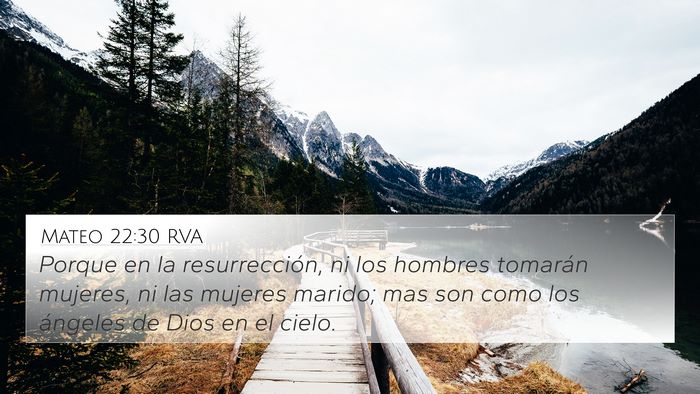 Mateo 22:30 RVA Bible Verse Image