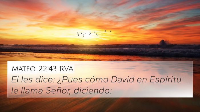 Mateo 22:43 RVA Bible Verse Image