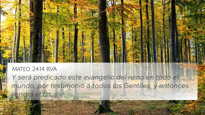 Mateo 24:14 RVA Bible Verse Image