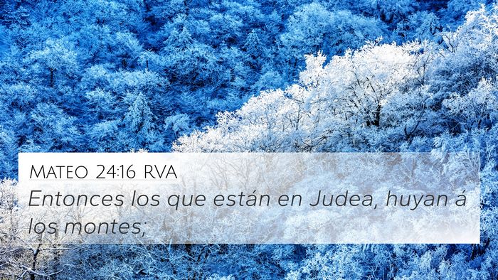 Mateo 24:16 RVA Bible Verse Image