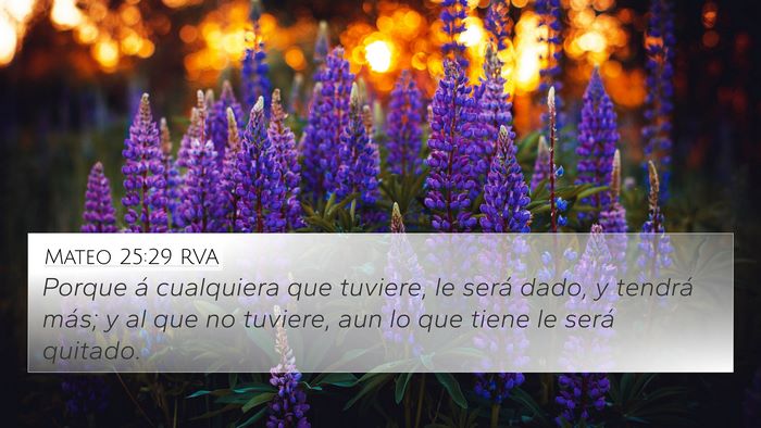 Mateo 25:29 RVA Bible Verse Image