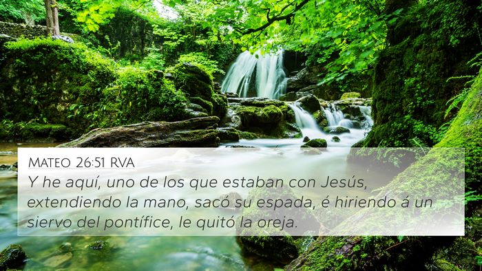 Mateo 26:51 RVA Bible Verse Image
