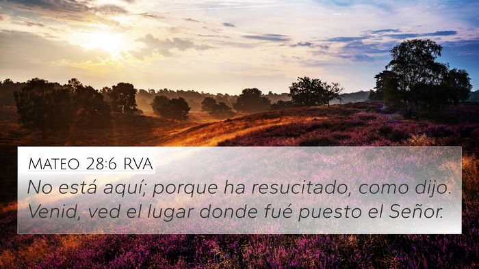 Mateo 28:6 RVA Bible Verse Image