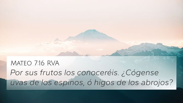Mateo 7:16 RVA Bible Verse Image