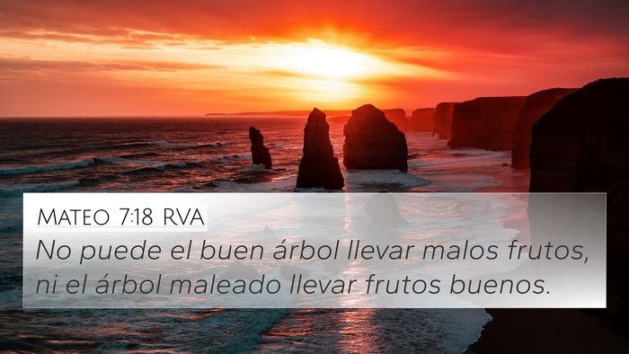 Mateo 7:18 RVA 4K Wallpaper - No puede el buen árbol llevar malos frutos, ni - 4K Wallpaper Bible Verse