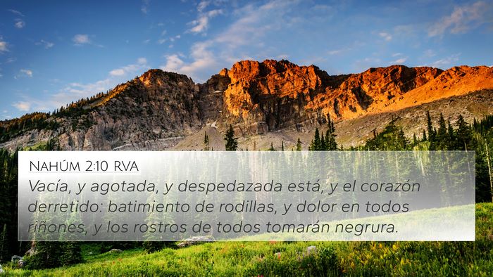 Nahúm 2:10 RVA Bible Verse Image