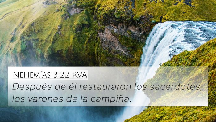 Nehemías 3:22 RVA 4K Wallpaper - Después de él restauraron los sacerdotes, los - 4K Wallpaper Bible Verse