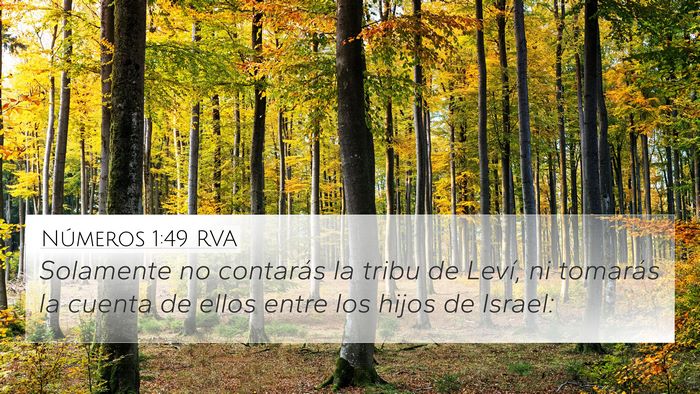Números 1:49 RVA Bible Verse Image