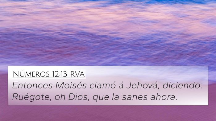 Números 12:13 RVA Bible Verse Image