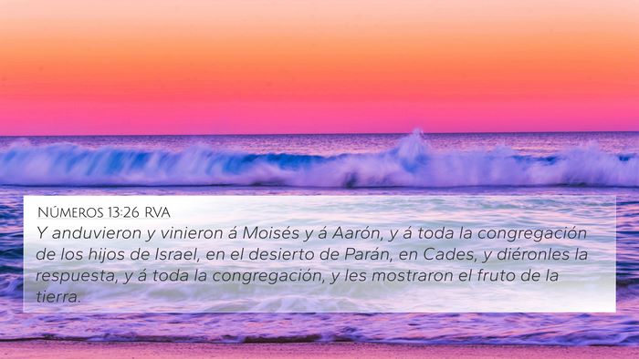 Números 13:26 RVA Bible Verse Image