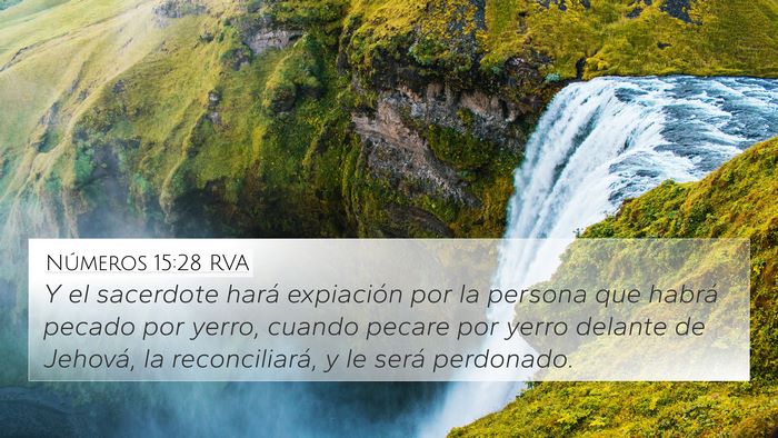 Números 15:28 RVA Bible Verse Image