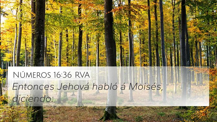 Números 16:36 RVA 4K Wallpaper - Entonces Jehová habló á Moisés, - 4K Wallpaper Bible Verse