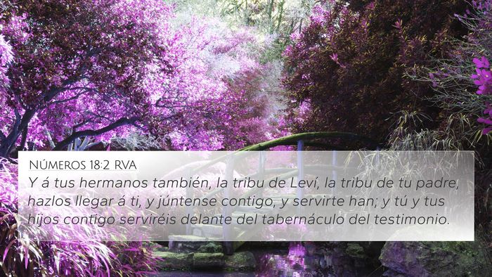 Números 18:2 RVA Bible Verse Image